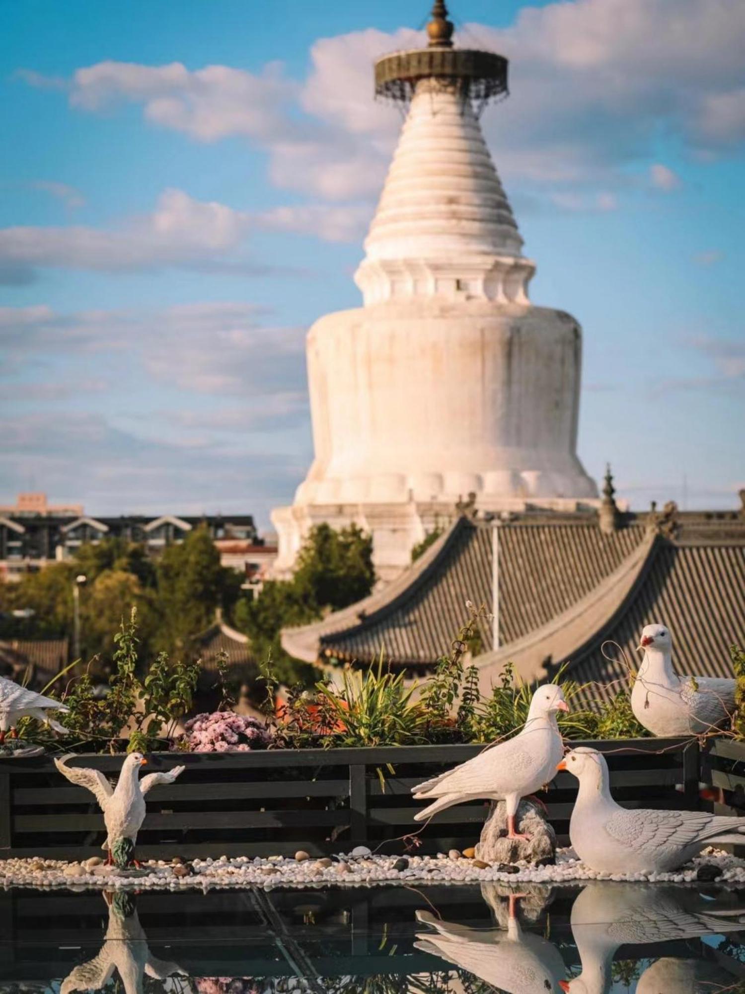 East Sacred Hotel ᴸᴱo---Foreign Accept---Tourism Service English-Speaking 丨 Near Tiananmen Forbidden City丨very Close To Metro Zhangzizhong And Beixinqiao 丨european Foot Ball English丨free Advance Tickets And Laundry Drying Service Coffee Snacks Beijing Exterior foto